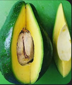 Avocado Fruit from our famous collection (Unfortunately Avocado fruit is on California's do not ship from Florida list)