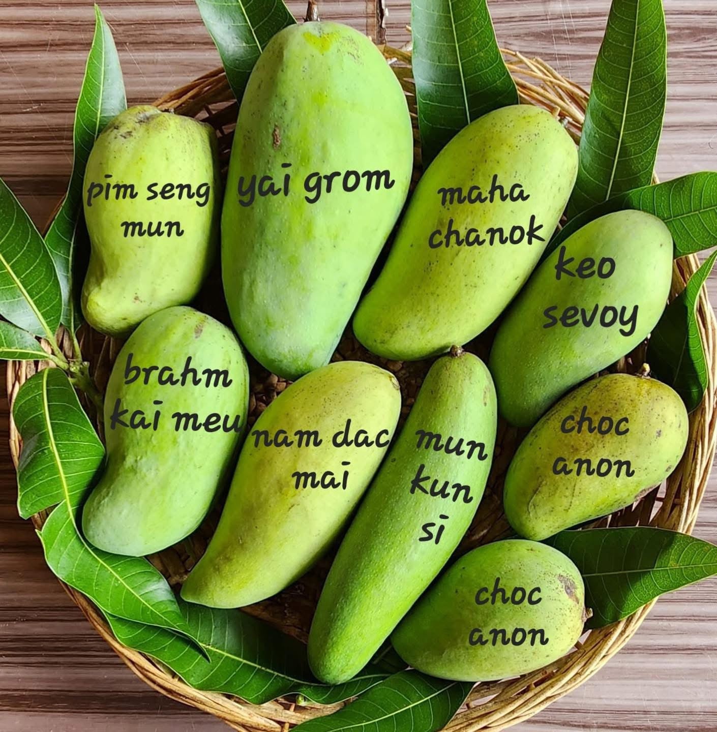 Mango Fruit Boxes 6 lbs or 11 lbs (For May - July) (Unfortunately Mango fruit is on California's do not ship from Florida list)