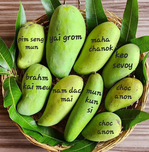 Mango Fruit Boxes 6 lbs or 11 lbs (For May - July) (Unfortunately Mango fruit is on California's do not ship from Florida list)