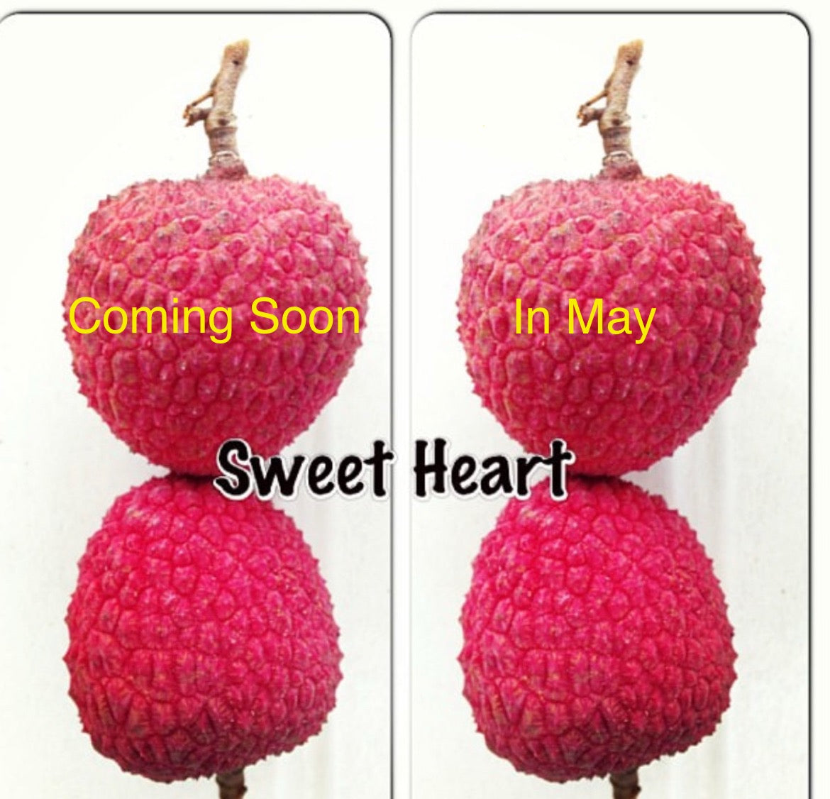 Lychee Fruit Box (Unfortunately Lychee Is On California’s Do Not Ship From Florida List)