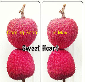 Lychee Fruit Box (Unfortunately Lychee Is On California’s Do Not Ship From Florida List)