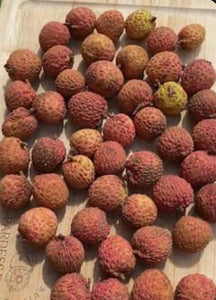 Grafted Lychee 1 Gallon Tree