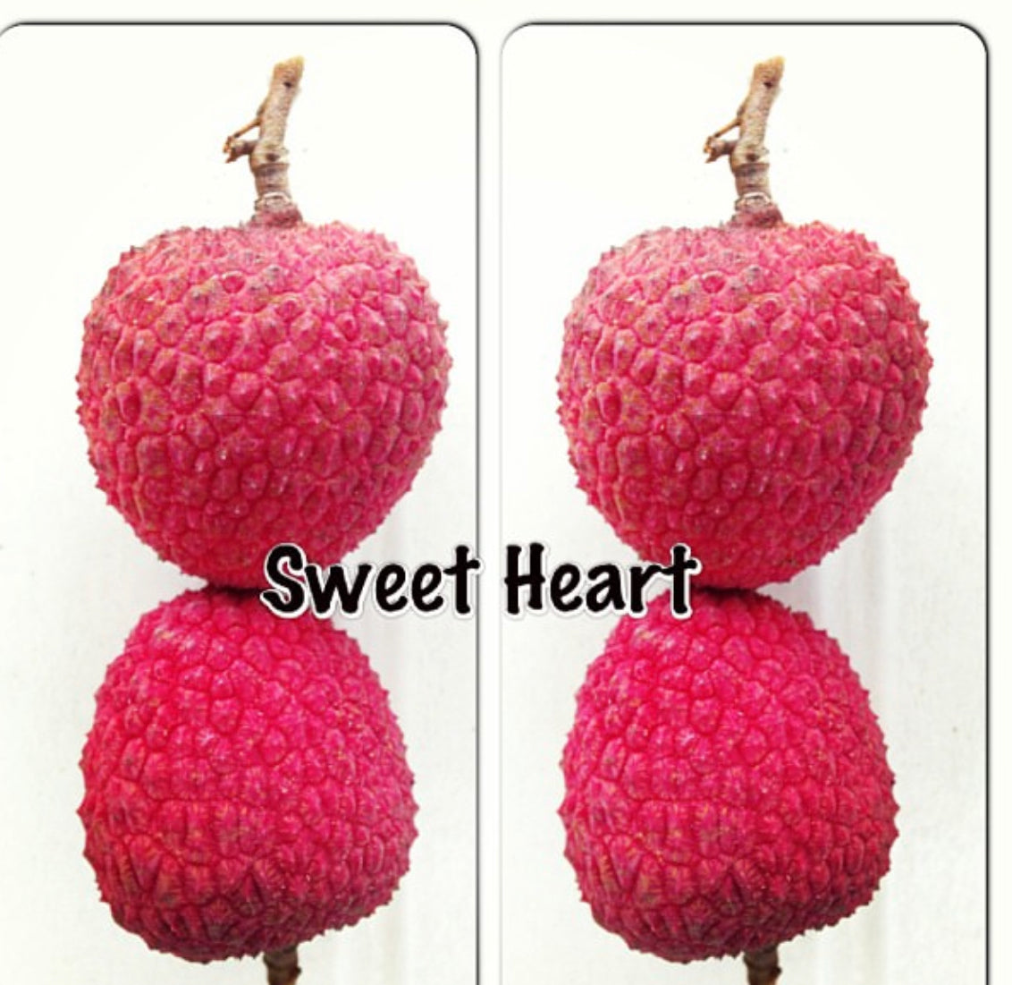Lychee Fruit Box (Unfortunately Lychee Is On California’s Do Not Ship From Florida List)