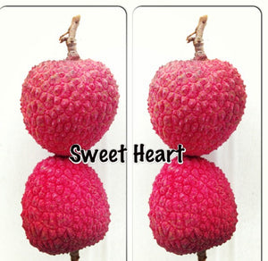 Lychee Fruit Box (Unfortunately Lychee Is On California’s Do Not Ship From Florida List)