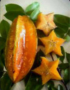 Grafted Star Fruit aka Carambola 1 Gallon (5 varieties)