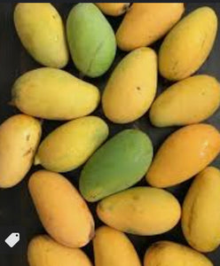 *Grafted Mango Tree 3 Gallons